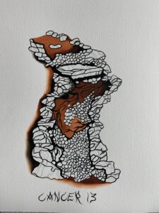 61540570503__0D7AF909-5731-412A-AA2E-6EA1F5B754E2