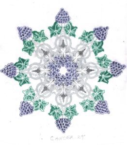 BRN3C2AF4AFE75B_000715