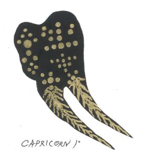 FedExScan2022-12-20_14-18-02